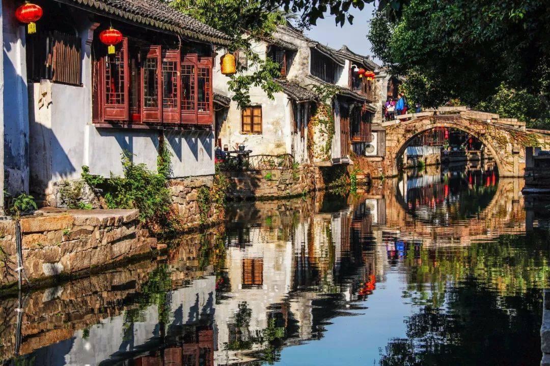 营救小乌龟